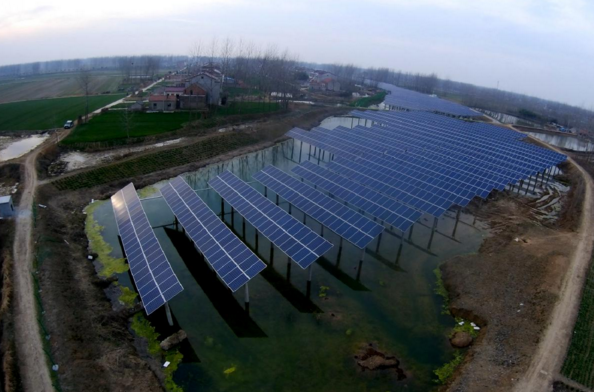 上可發(fā)電下可養(yǎng)殖&mdash;&mdash;天合光能擴大魚塘收益改善基礎設施