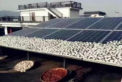 光伏電站收益掉一半？學(xué)會(huì)三招直往上！