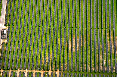 2017年能源監(jiān)管清單明確 對光伏的好壞參半，影響不一