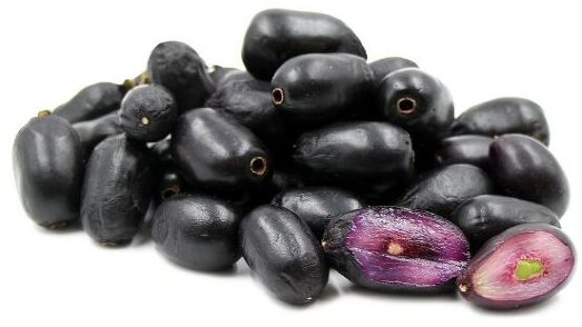 聽說了嗎！這種印度水果竟然能制造低成本太陽能電池