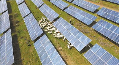 江蘇:用地不沖突 農(nóng)光互補(bǔ)示范項目建成