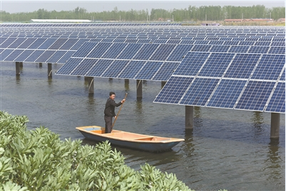 江蘇:用地不沖突 農(nóng)光互補(bǔ)示范項目建成
