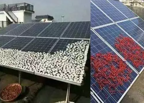 農村光伏電站致命殺手是遮擋，這幾樣遮擋萬萬要不得！