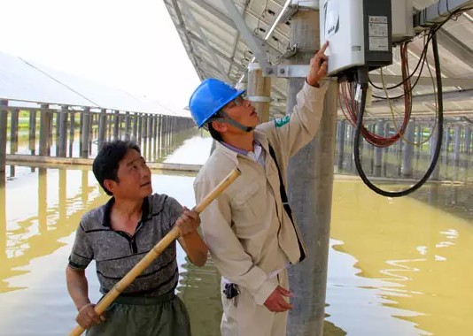 安裝了光伏電站后，居然讓60畝蟹塘從虧損到年入百萬！