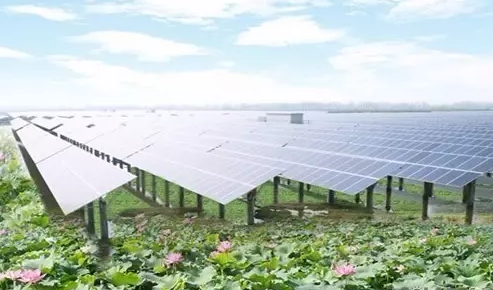 這個農(nóng)業(yè)項目未來5年市場規(guī)模上萬億，普通創(chuàng)業(yè)者能做嗎？要怎么做？