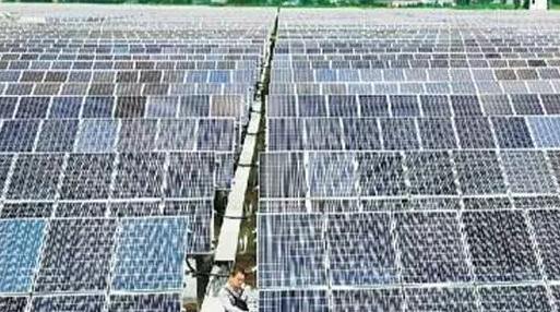 安徽肥東&ldquo;漁光互補&rdquo;打造光伏農(nóng)業(yè)產(chǎn)業(yè)鏈