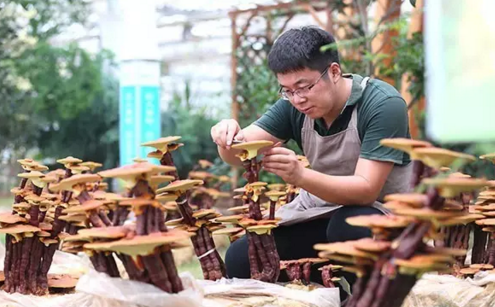 90后小伙趕上光伏好時(shí)代，回鄉(xiāng)創(chuàng)業(yè)年入百萬(wàn)！