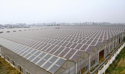 為什么光伏農業(yè)大棚備受追捧？主要有這幾大方面原因