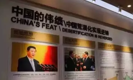 光伏板下搞養(yǎng)殖拼出&ldquo;沙漠綠洲&rdquo; 給21億人帶來(lái)希望！