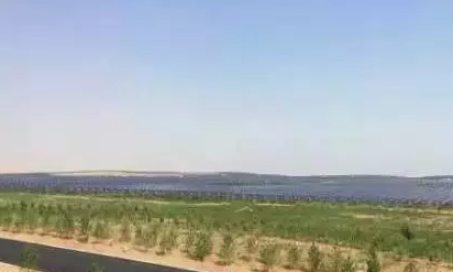 光伏板下搞養(yǎng)殖拼出&ldquo;沙漠綠洲&rdquo; 給21億人帶來(lái)希望！