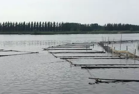 濟寧光伏領(lǐng)跑者基地930并網(wǎng)或基本無望,領(lǐng)跑者前期基地規(guī)劃需慎重