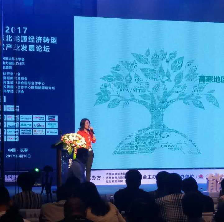 高寒地區(qū)挑戰(zhàn)多？分布式項目光伏逆變器的可靠性是關(guān)鍵！