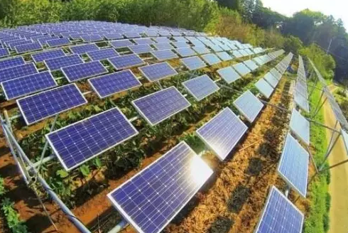 分布式光伏發(fā)電市場真的爆發(fā)了嗎？還缺點(diǎn)啥？