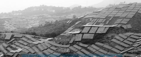 河南鞏義100棵會(huì)發(fā)電的&ldquo;樹&rdquo;下個(gè)月將種在310國道旁