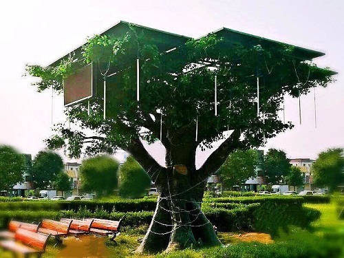 &ldquo;光伏樹&rdquo;問世，但農(nóng)村市場會買單嗎？