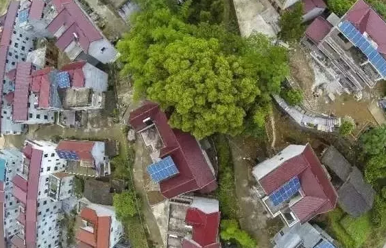 國網(wǎng)接入光伏扶貧電站9003兆瓦，惠及138.5萬家庭