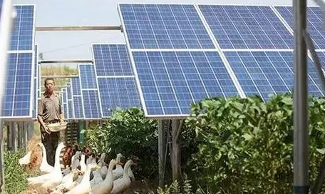 江西吉安“農(nóng)光互補(bǔ)”:棚頂光伏發(fā)電棚內(nèi)種菜