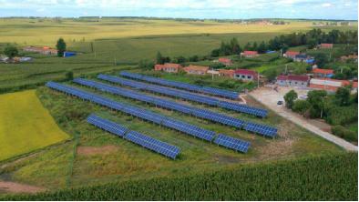 210個(gè)行政村受益！吉林舒蘭市80MW村級(jí)光伏扶貧電站正式投運(yùn)！