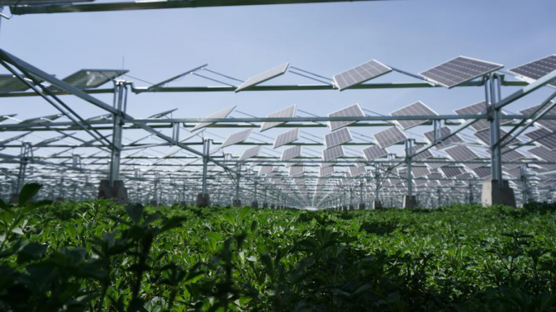 同道同景，共創(chuàng)共享|同景新能源攜手PVIC 2017 共筑光伏創(chuàng)新發(fā)展之路