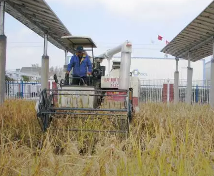 2017&rdquo;光伏下鄉(xiāng)&ldquo;開啟了萬億級(jí)光伏市場(chǎng)！