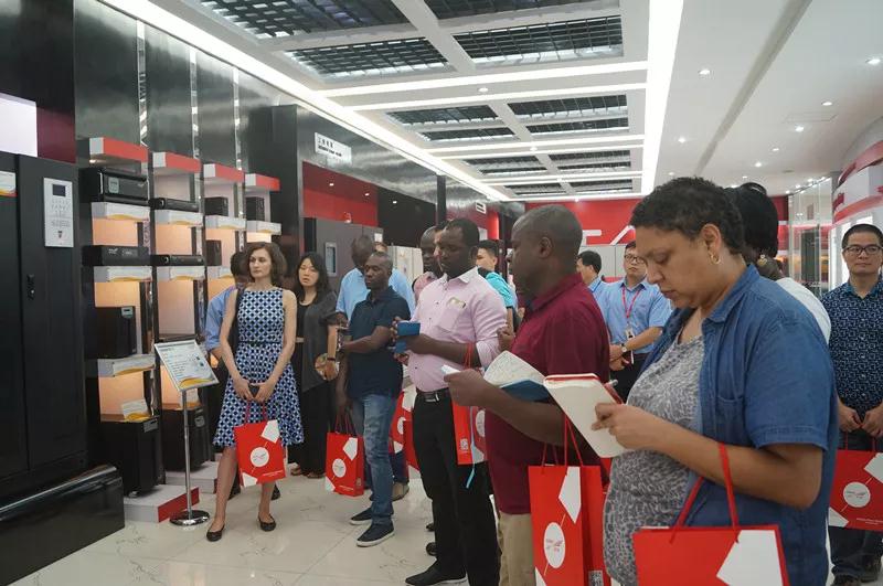 儲能逆變器2016年出貨量前十名有哪些？