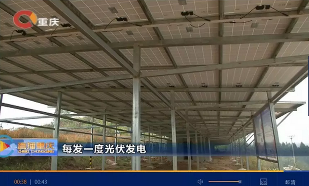 光伏發(fā)電又多了一項(xiàng)補(bǔ)貼！二氧化碳零排放補(bǔ)貼！