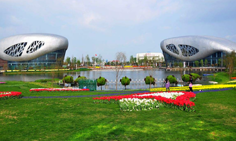 百家知名光伏企業(yè)集聚揚(yáng)中，探討商業(yè)合作模式，推動(dòng)綠色能源發(fā)展