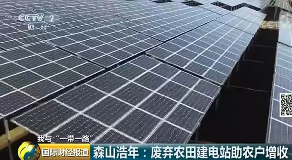 中國(guó)央企用光伏帶日本農(nóng)民致富！10倍租金盤活荒廢農(nóng)地