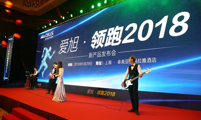 愛(ài)旭半片、疊片電池助力平價(jià)上網(wǎng)