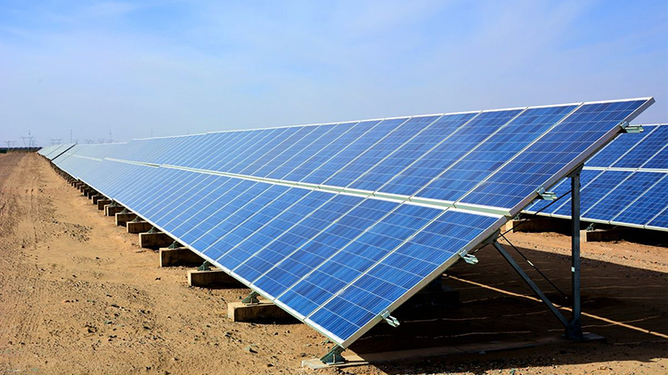 近日，中廣核樂陵農光互補扶貧協作項目通過省、市專家組現場驗收，實現并網發(fā)電。