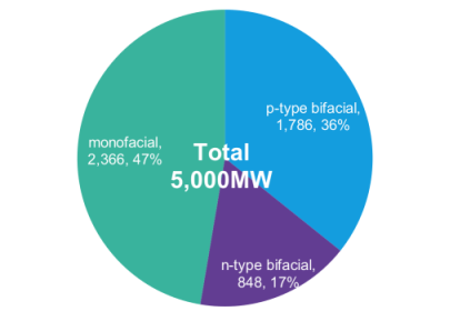 630后領跑者接棒：雙面技術份額有望提升，N型蠶食P型？