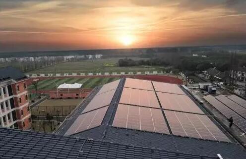 綠色低碳理念從娃娃抓起！看上海這所學(xué)校如何做到每年植樹6000棵？