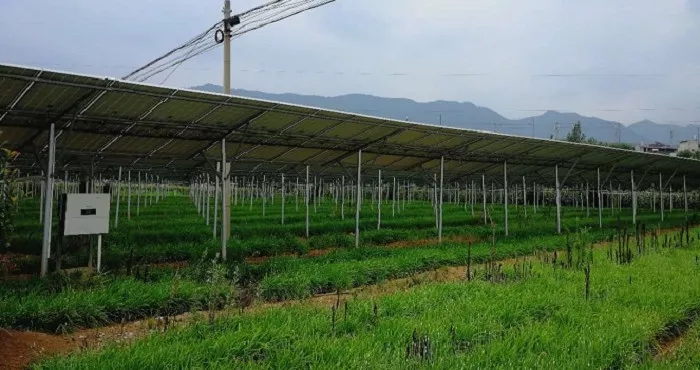 商洛市3MW農(nóng)光互補(bǔ)項(xiàng)目成示范，首航逆變器穩(wěn)定助力，業(yè)主收益有保障