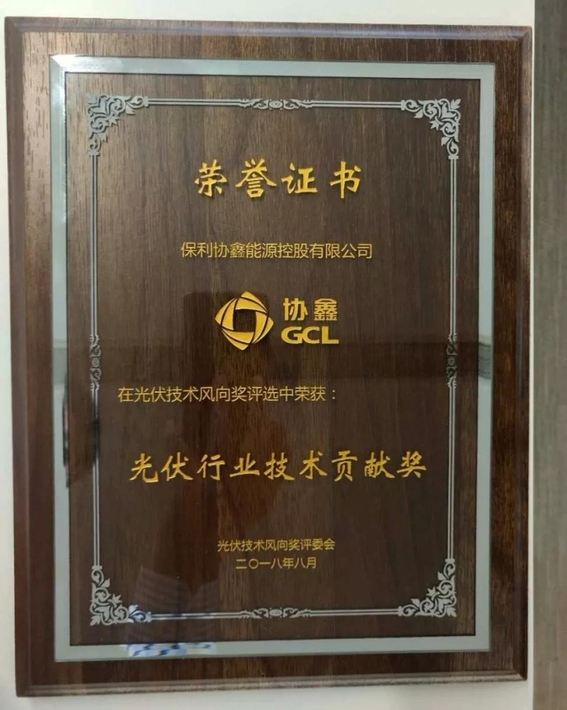 引領(lǐng)黑硅高效光伏，保利協(xié)鑫榮膺&ldquo;光伏行業(yè)技術(shù)貢獻(xiàn)獎(jiǎng)&rdquo;