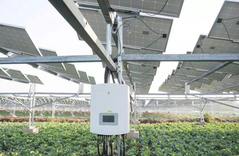 　　據(jù)央視記者報道，近日，錦浪科技助力湖北省宜城王集鎮(zhèn)觀音村，采用典型的&ldquo;農(nóng)光互補(bǔ)&rdquo;模式，實(shí)現(xiàn)了全村人共同&ldquo;生態(tài)收益&rdquo;的目標(biāo)，引起了廣大人民群眾的熱烈反響。 　　 　　走進(jìn)光伏電站區(qū)，首先映入眼簾的是一片藍(lán)汪汪的光伏海洋，一望無際，若是走近仔細(xì)一看，才發(fā)現(xiàn)這么一大片區(qū)域里不完全是光伏板，原來在光伏板下邊還有另一片&ldquo;柳暗花明&rdquo;的天地，綠油油的青菜鋪滿整塊地面實(shí)在好看極了。 　　 　　據(jù)記者報道，這便是觀音村這兩年響應(yīng)國家&ldquo;精準(zhǔn)扶貧&rdquo;和&ldquo;光伏扶貧&rdquo;政策，投資2億元建成20MWP&ldquo;農(nóng)光互補(bǔ)&rdquo;地面光伏電站。此電站光伏支架采用的是同景新能源的跟蹤支架，逆變器采用了錦浪科技公司的50kW逆變器，以它相對較小的外形，為運(yùn)輸免去了不少成本，提供了便捷安裝；4路MPPT接入，每路額定28.5A，兼容大功率組件，設(shè)計更靈活；充分的冗余設(shè)計保障逆變器長壽命可靠運(yùn)行。 　　 　　同景新能源有限公司總經(jīng)理郤維平在現(xiàn)場對記者解釋，&ldquo;我們主要的優(yōu)勢是跟蹤，我們有500臺跟蹤器可以自動跟蹤，也就是我們常說的&lsquo;光伏板跟著太陽走&rsquo;，這樣他與其它電站相比，它是固定式的，我們的發(fā)電量同比要增加20%。&rdquo;他接著說道，&ldquo;我們不破壞土地，活動支架，我們平時看到的可能都是打樁式的，而我們這個是小水泥塊，直接放在土地表面，可以自由移動。&rdquo;這種獨(dú)特安全的安裝方式得到農(nóng)民的大力支持。 　　 　　據(jù)現(xiàn)場村民說，這里的主要農(nóng)作物有黃精，桔梗，花生，魔芋等，以黃精價值尤為突出，黃精作為一種名貴藥材喜歡蔭涼，所以光伏板既全方位吸收了太陽能，又很好的為農(nóng)作物起到了遮陽的作用；它的生長周期需要兩三年，然而價值非?？捎^，給他們帶來相當(dāng)不錯的收益。 　　 　　王集鎮(zhèn)觀音村這種典型的&ldquo;農(nóng)光互補(bǔ)&rdquo;模式，正是利用較少的投資獲得更多的利益，實(shí)現(xiàn)了&ldquo;光伏脫貧&rdquo;的&ldquo;生態(tài)效益&rdquo;的目的，還讓當(dāng)?shù)剞r(nóng)民每年有了一份固定的收入。據(jù)統(tǒng)計，一畝地一年能收入5萬元，人均年收入可達(dá)2.5萬元以上。 　　 　　國家近年來推行的&ldquo;光伏扶貧&rdquo;政策越來越深入人心，讓一批又一批的農(nóng)民走上了脫貧致富的道路，我們也希望更多的農(nóng)民能夠利用這種&ldquo;農(nóng)光互補(bǔ)&rdquo;的模式，早日擺脫貧困生活，實(shí)現(xiàn)共同富裕。