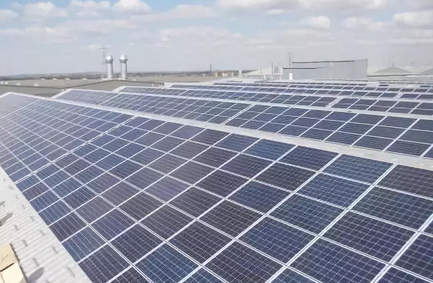 行業(yè)慘淡企業(yè)叫窮，光伏裝機為何反超預期？