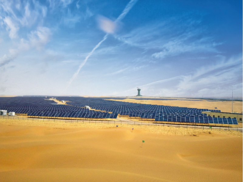 大戈壁上的&ldquo;領(lǐng)跑者&rdquo;